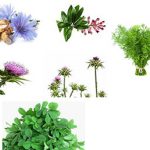 معجون چربی خون