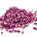 گل پرپر محمدی