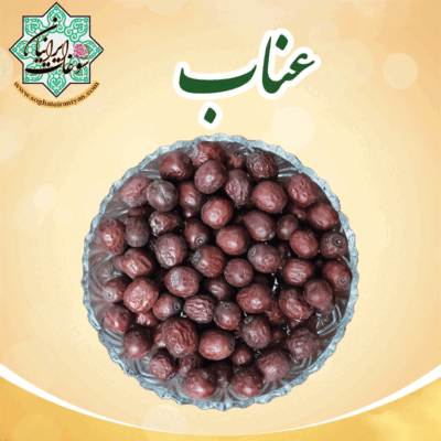 عناب